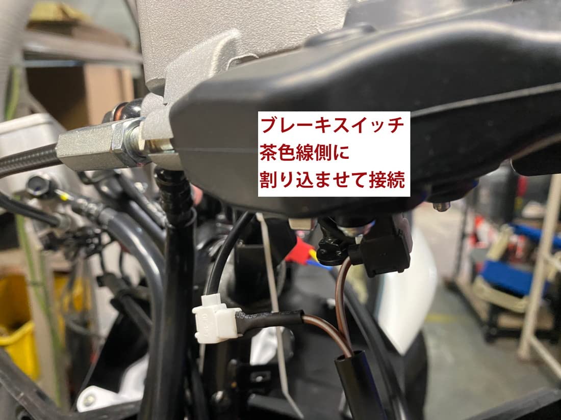 Amazon.co.jp: STAR KNIGHT 6型シグナス グリファス(CYGNUS GRYPHUS